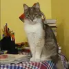 Отзыв от Гульнара Косарева